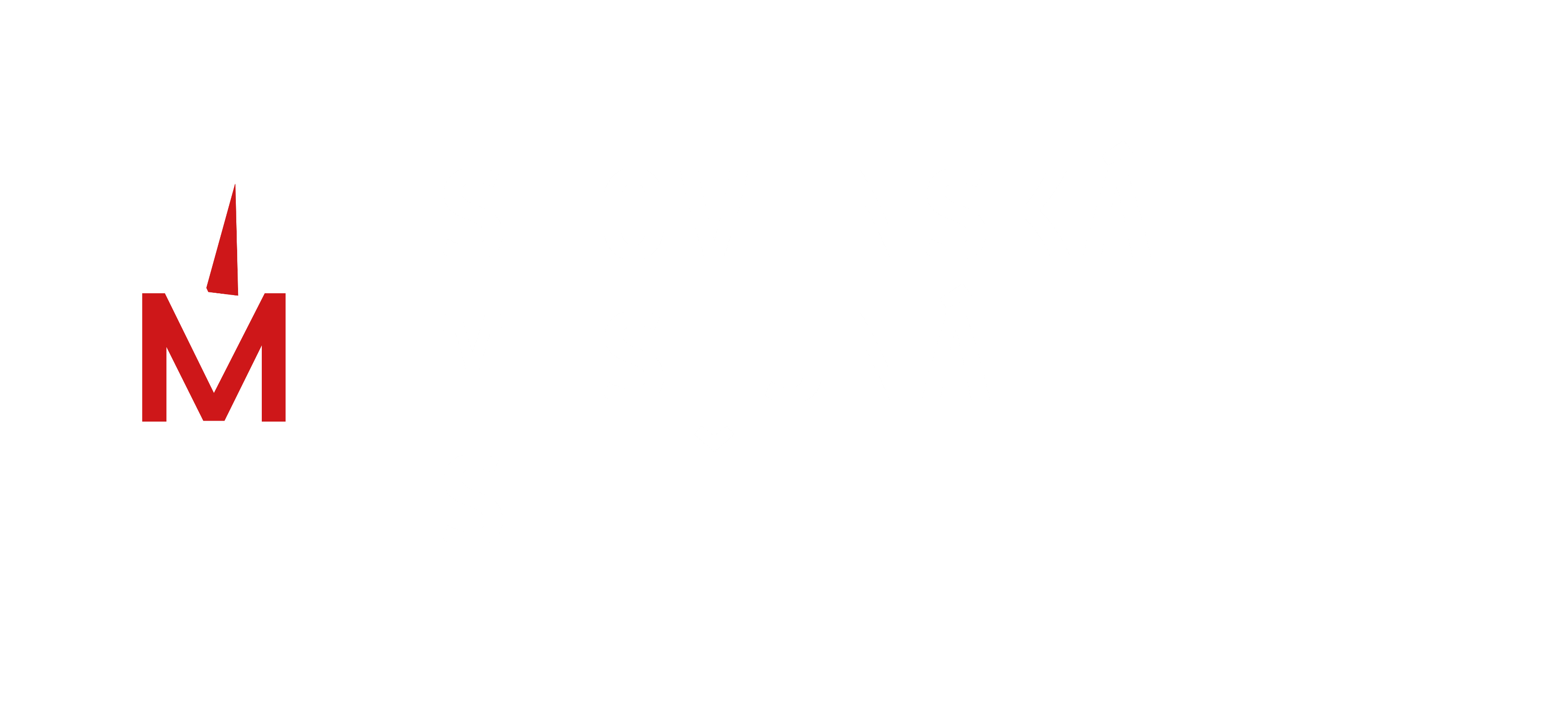 Slovenská misijná sieť